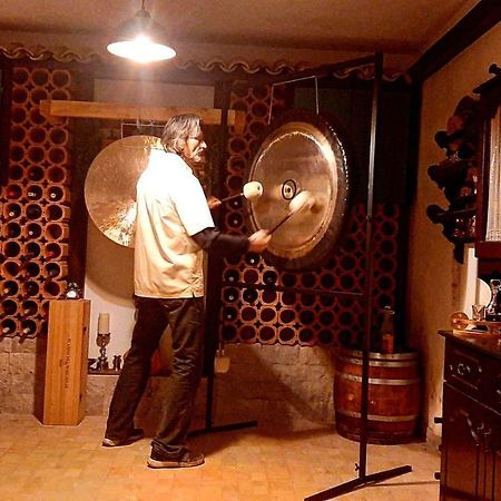 Vila Salamander Štanjel Εξωτερικό φωτογραφία